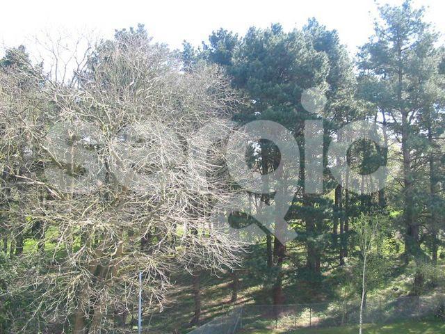 /picture/ubiflow/24_0198_01_0237/8_2026-06-19CEST18h00-04.jpg