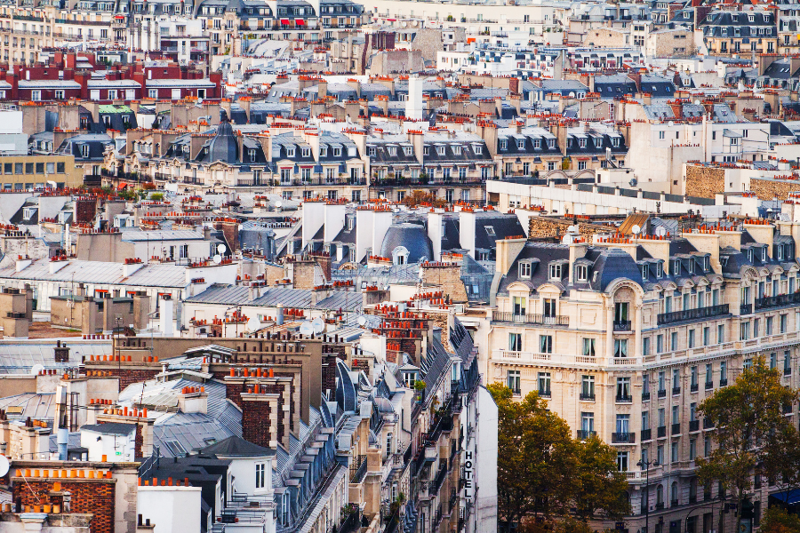 magnifique vue sur les toits des immeubles de Paris