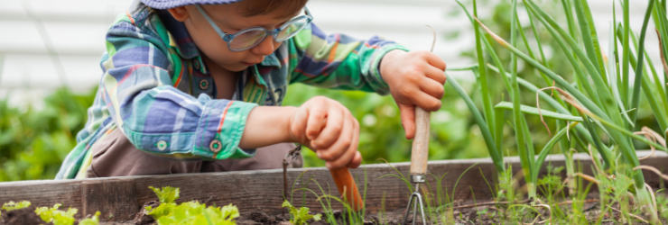 petit garçon en train de jardiner dans un potager