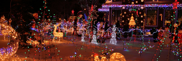 décoration de noël avec guirlandes dans un jardin