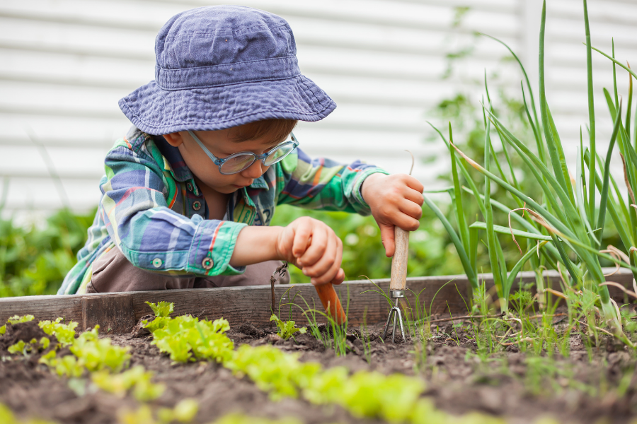 petit garçon en train de jardiner dans un potager