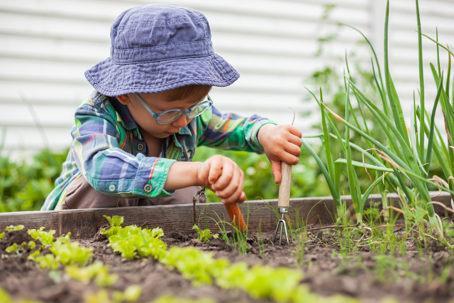 Comment créer un jardin potager au sein de votre immeuble ? - Immobilier  Lille, Nantes, Paris : Agence immobilière, location, vente