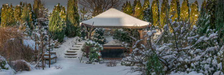 jardin avec neige en hiver 