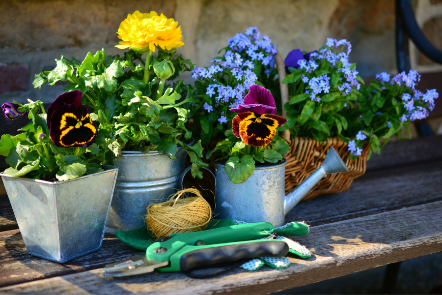 fleurs et outils de jardinage pour jardiner