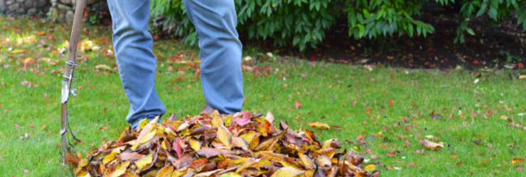 Personne qui ratisse les feuilles de son jardin 