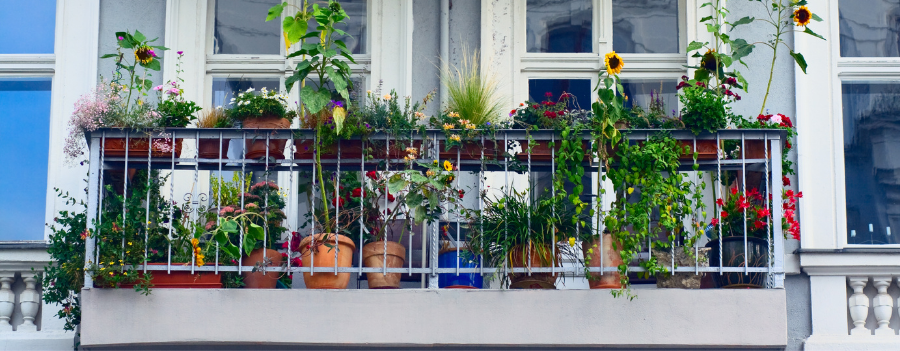 balcon aménagé avec fleurs et plantes