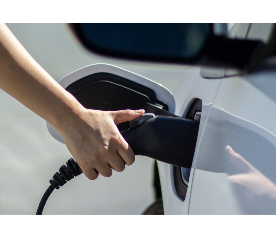 Sergic, une entreprise à mission : des actions concrètes !